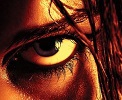 dynamic image